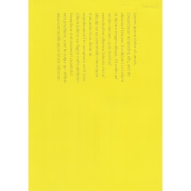 Opak Asetat 160 Mikron A4 Sarı - 2