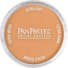 PanPastel Ultra Soft Artist Pastel Boya Bronze 29305 - 1