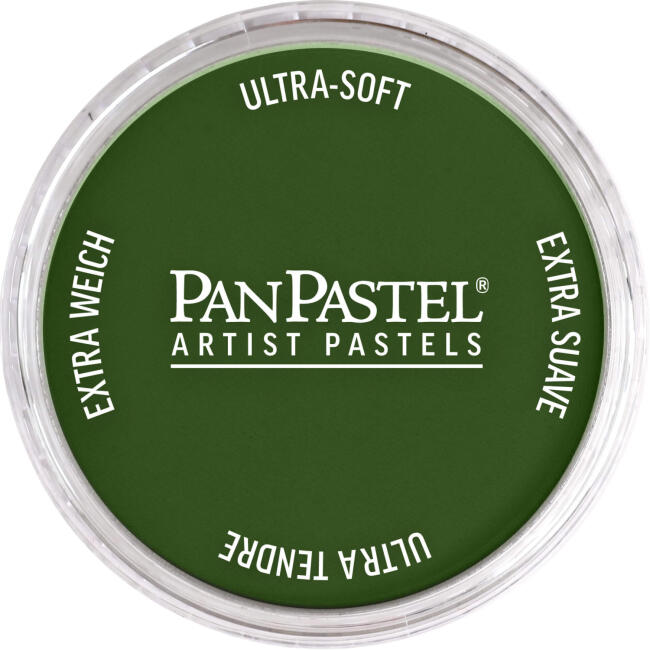 PanPastel Ultra Soft Artist Pastel Boya Chromium Oxide Green 26605 - 1