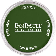 PanPastel Ultra Soft Artist Pastel Boya Chromium Oxide Green 26605 - Panpastel