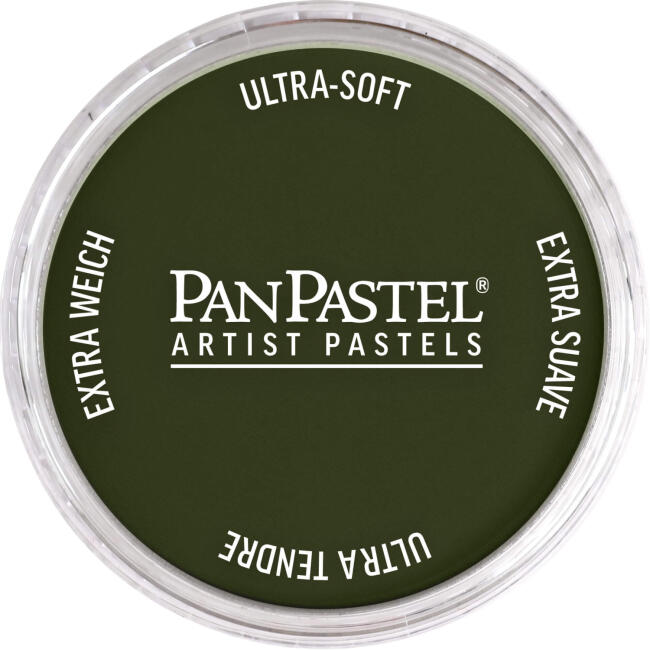 PanPastel Ultra Soft Artist Pastel Boya Chromium Oxide Green Shade 26603 - 1
