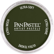 PanPastel Ultra Soft Artist Pastel Boya Chromium Oxide Green Shade 26603 - Panpastel