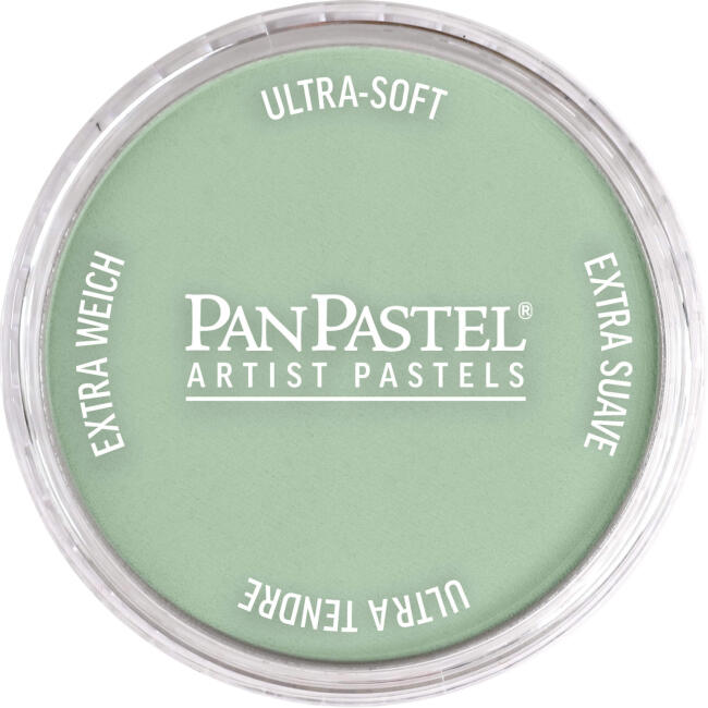 PanPastel Ultra Soft Artist Pastel Boya Chromium Oxide Green Tint 26608 - 1
