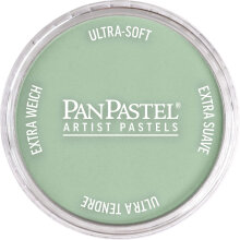 PanPastel Ultra Soft Artist Pastel Boya Chromium Oxide Green Tint 26608 - Panpastel