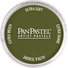 PanPastel Ultra Soft Artist Pastel Boya Hansa Yellow Extra Dark 22201 - 1