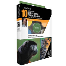 PanPastel Ultra Soft Artist Pastel Boya Morgan 10’lu Wildlife Pastel Seti 30082 - Panpastel