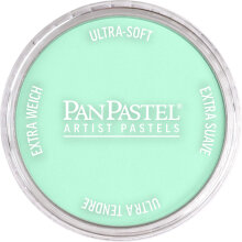 PanPastel Ultra Soft Artist Pastel Boya Pearlescent Green 29565 - 1