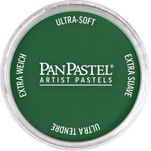 PanPastel Ultra Soft Artist Pastel Boya Permanent Green Extra Dark 26401 - 1
