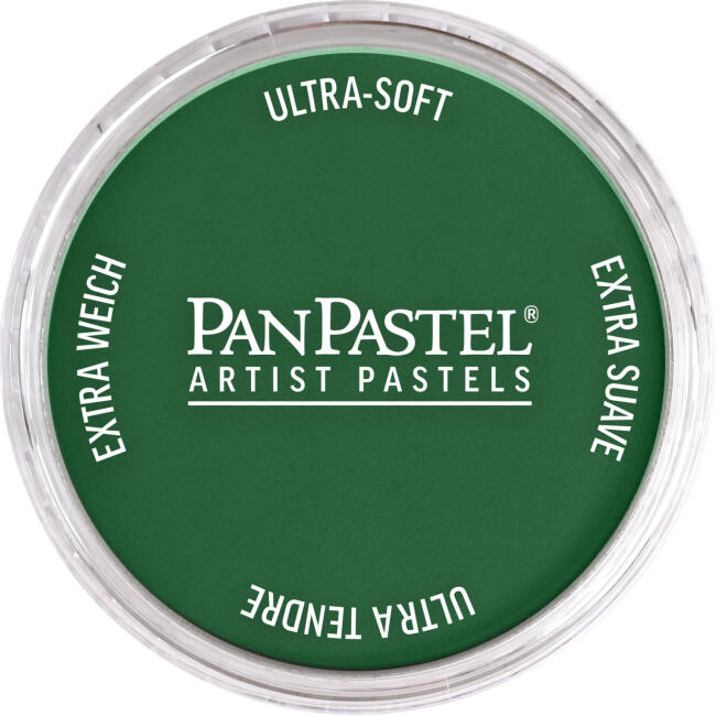 PanPastel Ultra Soft Artist Pastel Boya Permanent Green Extra Dark 26401 - 1