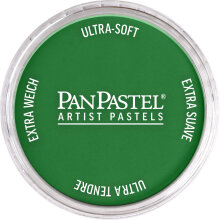 PanPastel Ultra Soft Artist Pastel Boya Permanent Green Shade 26403 - Panpastel