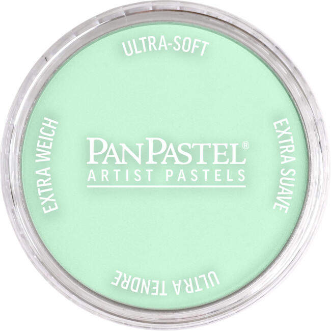 PanPastel Ultra Soft Artist Pastel Boya Permanent Green Tint 26408 - 1
