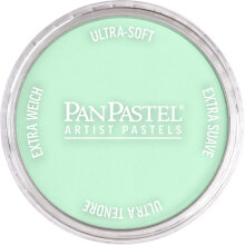 PanPastel Ultra Soft Artist Pastel Boya Permanent Green Tint 26408 - Panpastel