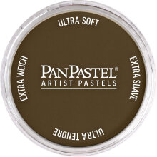 PanPastel Ultra Soft Artist Pastel Boya Raw Umber 27805 - 1