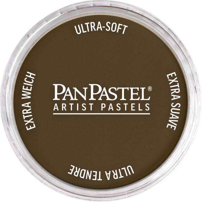 PanPastel Ultra Soft Artist Pastel Boya Raw Umber 27805 - 1