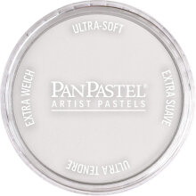 PanPastel Ultra Soft Artist Pastel Boya Silver 29205 - Panpastel