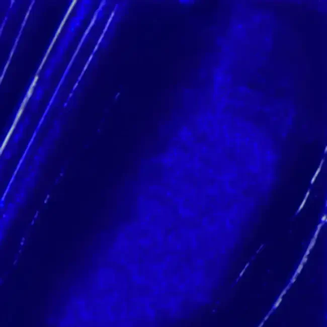 Pebeo XL Studio Yağlı Boya 200 ml Ultramarine Blue 14 - 2