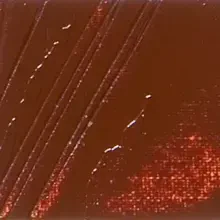 Pebeo XL Studio Yağlı Boya 200 ml Burnt Sienna 22 - Pebeo (1)