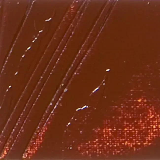 Pebeo XL Studio Yağlı Boya 200 ml Burnt Sienna 22 - 2