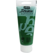 Pebeo Studio Akrilik Boya 100 ml Green Earth 61 - Pebeo