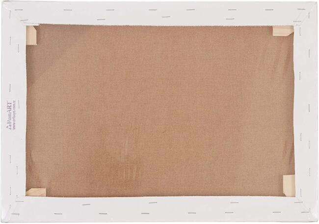 PonART Profesyonel A Plus Tuval 25x35 cm - 2