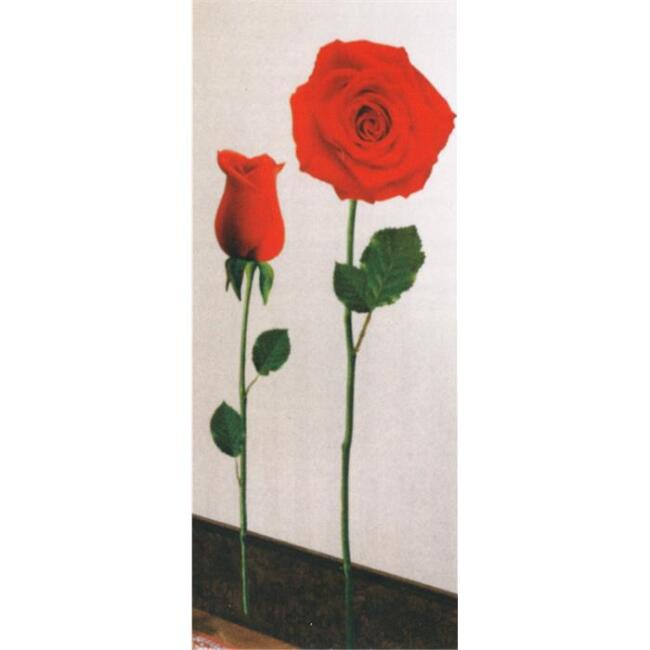 Rayher Duvar Sticker Gül 135+170 cm - 1