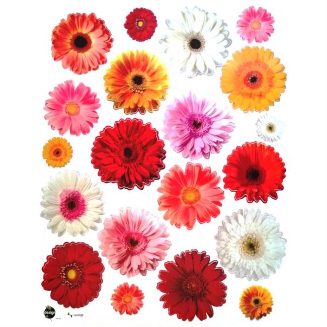 Rayher Duvar Sticker Kasımpatı 6.5+15 cm - 1