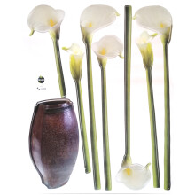 Rayher Duvar Sticker Orkide 34-66 cm - Rayher (1)