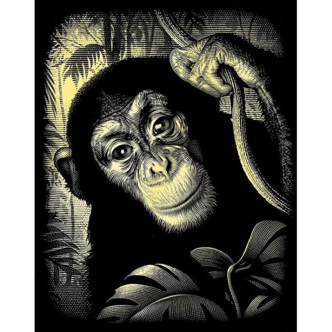 Reeves Altın Gravür Kazıma Seti Maymun - 2