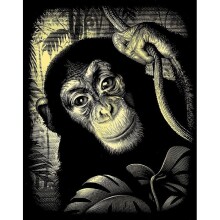 Reeves Altın Gravür Kazıma Seti Maymun - Reeves