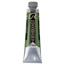 Rembrandt Yağlı Boya 40 ml Seri 2 Sap Green 623 - Rembrandt