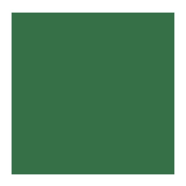 Talens Rembrandt Extra-Fine Yağlı Boya 40 ml Seri 3 Chromium Oxide Green 668 - 46