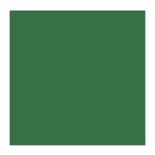 Talens Rembrandt Extra-Fine Yağlı Boya 40 ml Seri 3 Chromium Oxide Green 668 - Rembrandt (1)