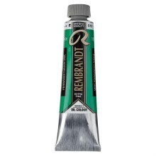 Talens Rembrandt Extra-Fine Yağlı Boya 40 ml Seri 3 Permanent Green Deep 619 - Rembrandt