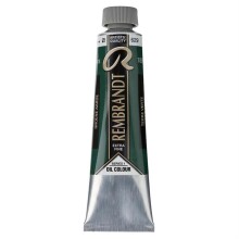 Rembrandt Yağlı Boya 40 ml Seri 1 Terre-Verte 629 - Rembrandt (1)