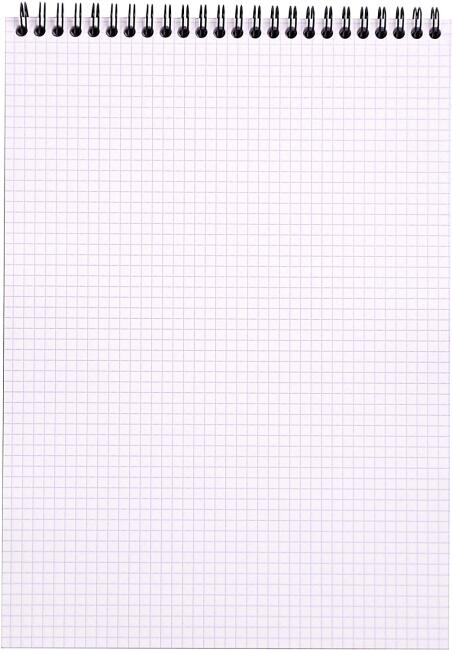 Rhodia A4 Kareli Bloknot Spiralli Turuncu Kapak - 2