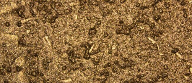 Rich Chrome Texture Paste 150ml 9210 Maya Gold - 2