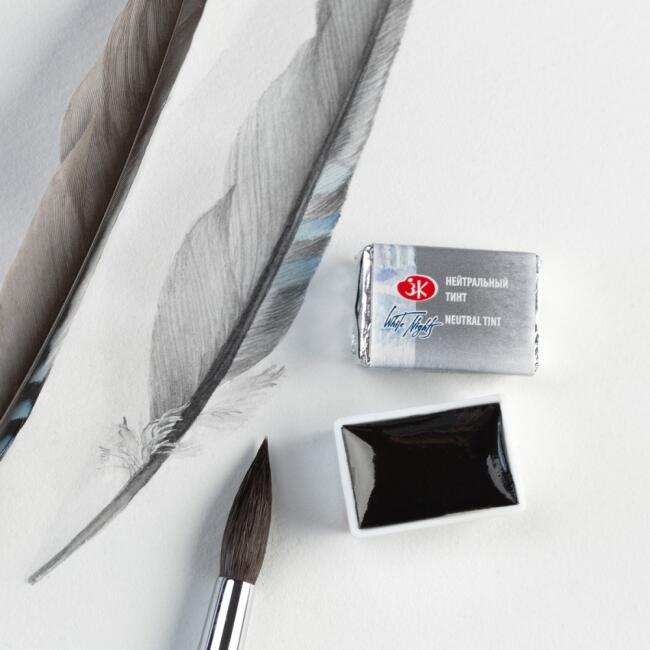 St. Petersburg White Nights Extra-Fine Tam Tablet Sulu Boya 2.5 ml Neutral Tint 840 - 2