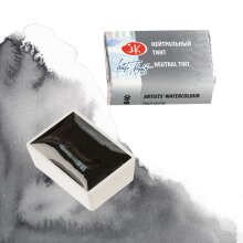St. Petersburg White Nights Extra-Fine Tam Tablet Sulu Boya 2.5 ml Neutral Tint 840 - 3