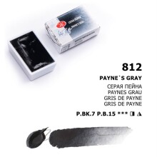 St. Petersburg White Nights Extra-Fine Tam Tablet Sulu Boya 2.5 ml Paynes Gray 812 - St. Petersburg