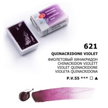 St. Petersburg White Nights Extra-Fine Tam Tablet Sulu Boya 2.5 ml Quinacridone Violet Rose 621 - 1