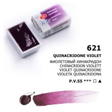 St. Petersburg White Nights Extra-Fine Tam Tablet Sulu Boya 2.5 ml Quinacridone Violet Rose 621 - St. Petersburg