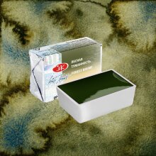 St. Petersburg White Nights Metamorphosis Tablet Sulu Boya Forest Brume 778 - St. Petersburg