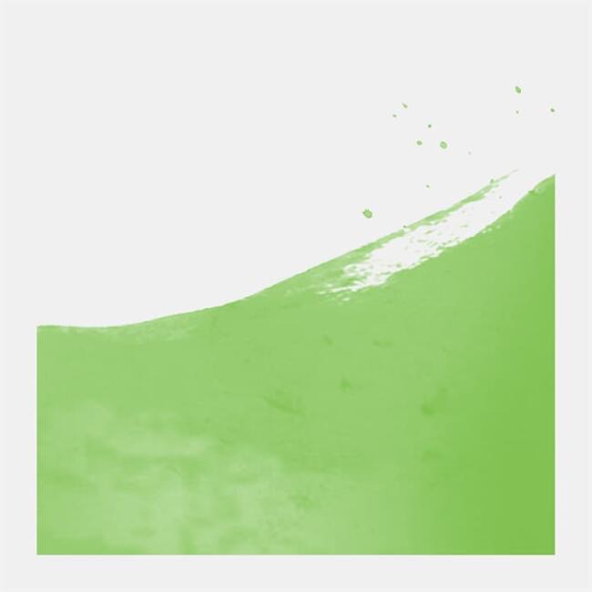 Talens Ecoline Sıvı Sulu Boya 30 ml Light Green 601 - 2