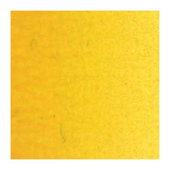 Talens Van Gogh Yağlı Boya 40 ml Indian Yellow 244 - 4