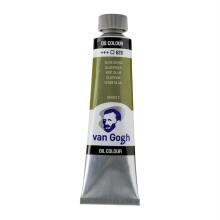 Talens Van Gogh Yağlı Boya 40 ml Olive Green 620 - Talens