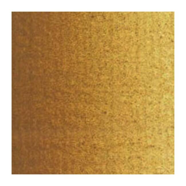 Talens Van Gogh Yağlı Boya 40 ml Raw Sienna 234 - 26