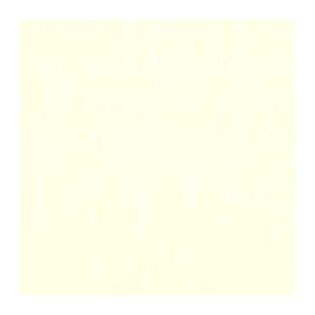 Talens Van Gogh Yağlı Boya 40 ml Titanium White 105 - 14