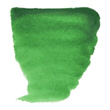 Talens Van Gogh Yarım Tablet Sulu Boya Permanent Green 662 - Van Gogh (1)