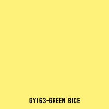 Touchliit Çift Taraflı Marker Kalem Green Bice GY163 - Gvn Art (1)