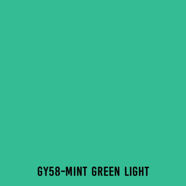 Touchliit Çift Taraflı Marker Kalem Mint Green Light G58 - 2